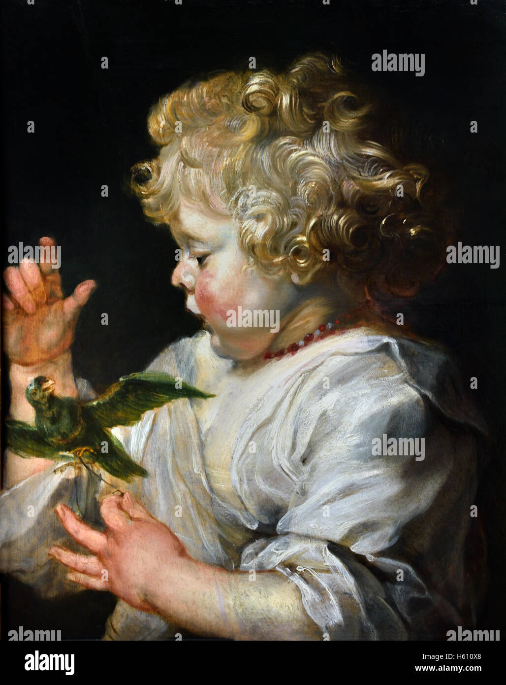 El niño con el pájaro 1629/1630 Pedro Pablo Rubens (1577-1640) Bélgica Flamenca Bélgica Foto de stock