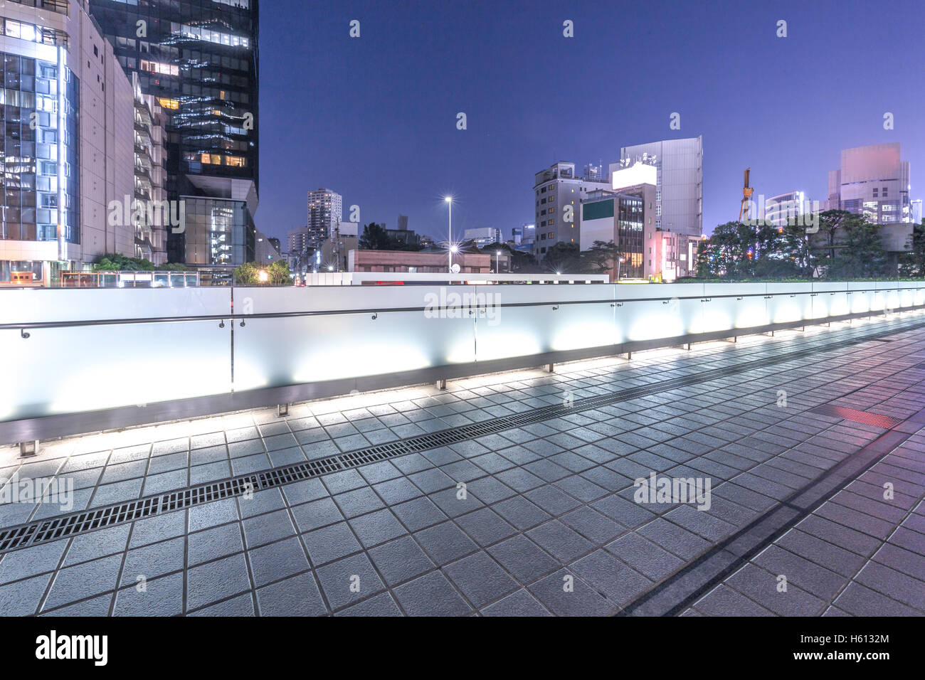 Paisaje y horizonte de Tokio por la noche desde la acera Foto de stock