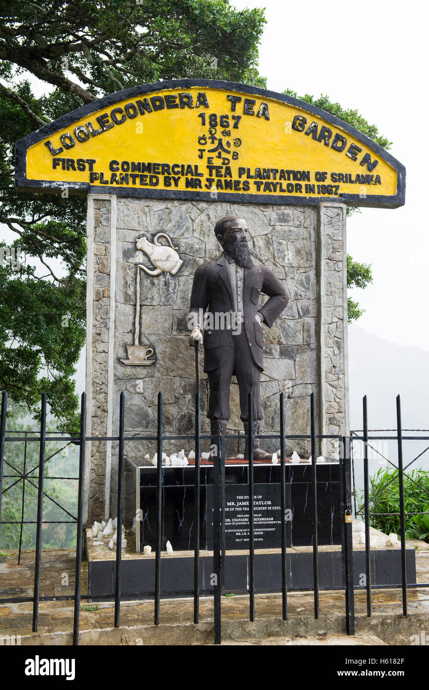 Estatua de James Taylor, el primer productor de té de Ceilán (Sri Lanka), Taylor's Hill, finca de té Loolecondera, Kandy, Sri Lanka Foto de stock