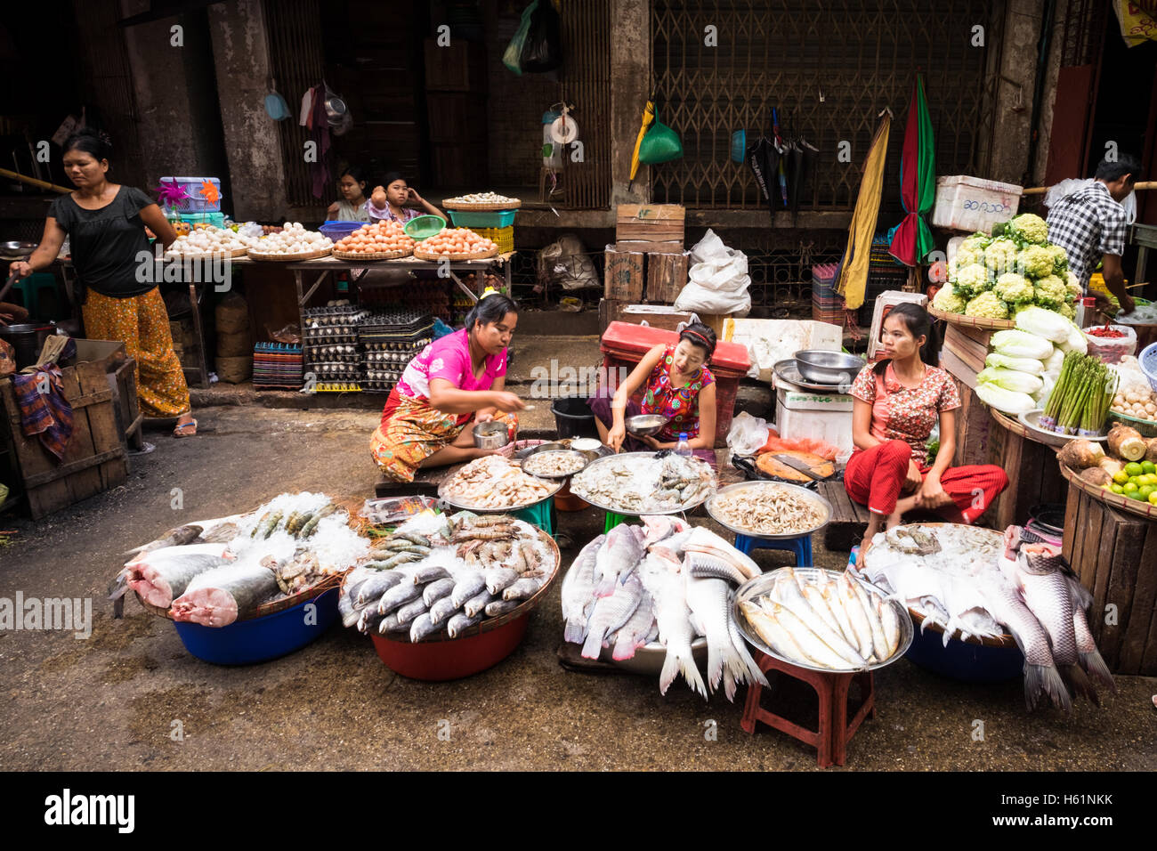 Mujeres que venden pescado fresco en su puesto en el mercado de la calle en el centro de Yangon. Foto de stock