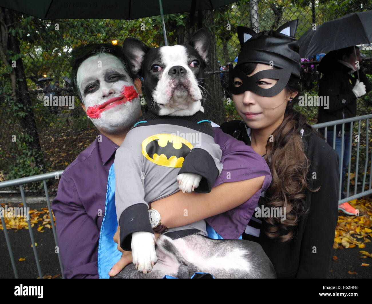 Dressed as batman fotografías e imágenes de alta resolución - Página 4 -  Alamy