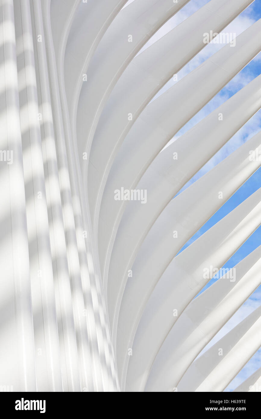 Detalle de sinuosas costilla de acero blanca fachada. El Oculus, Centro de Transporte del World Trade Center, Nueva York, Estados Unidos. Arquitecto: Santiago Calatrava, 2016. Foto de stock