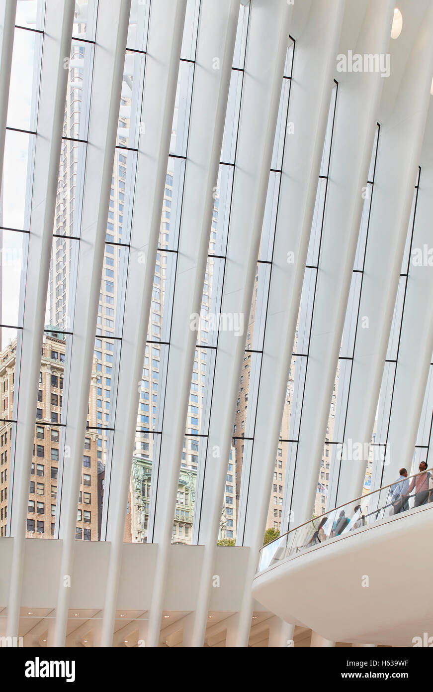 Detalle de costillas de acero del bastidor. El Oculus, Centro de Transporte del World Trade Center, Nueva York, Estados Unidos. Arquitecto: Santiago Calatrava, 2016. Foto de stock
