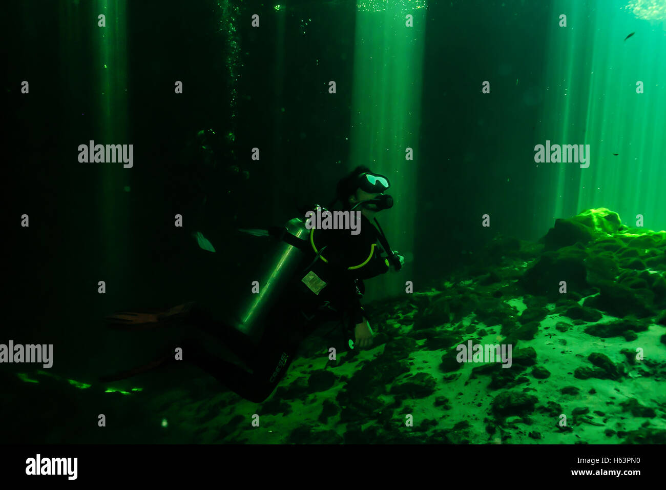 Scuba Diver en Car Wash Cenote Aktun Ha, Tulum, Península de Yucatán, México Foto de stock