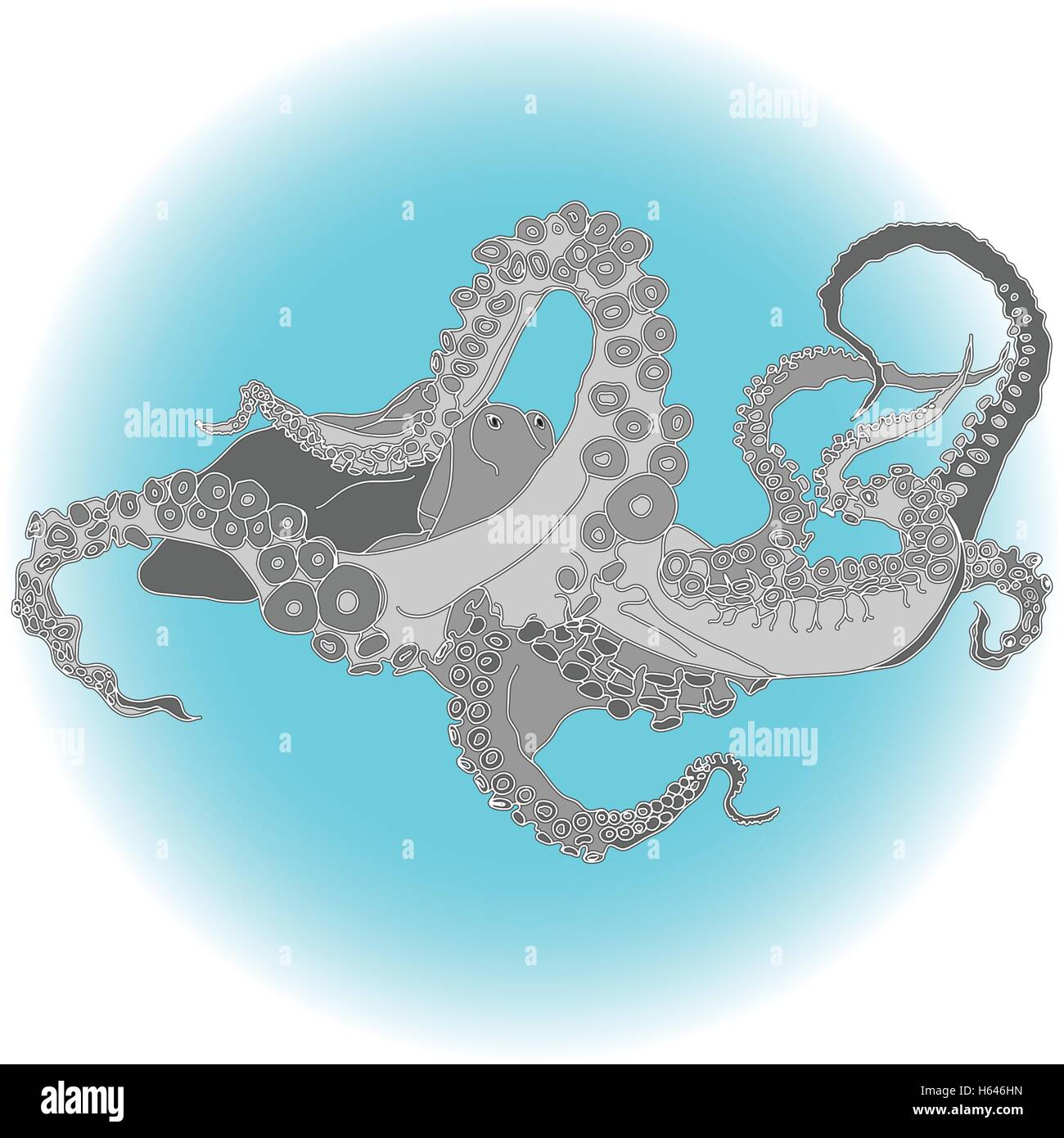 Dibujo Vectorial De Un Pulpo Kraken Aislado Ilustracion Del Vector