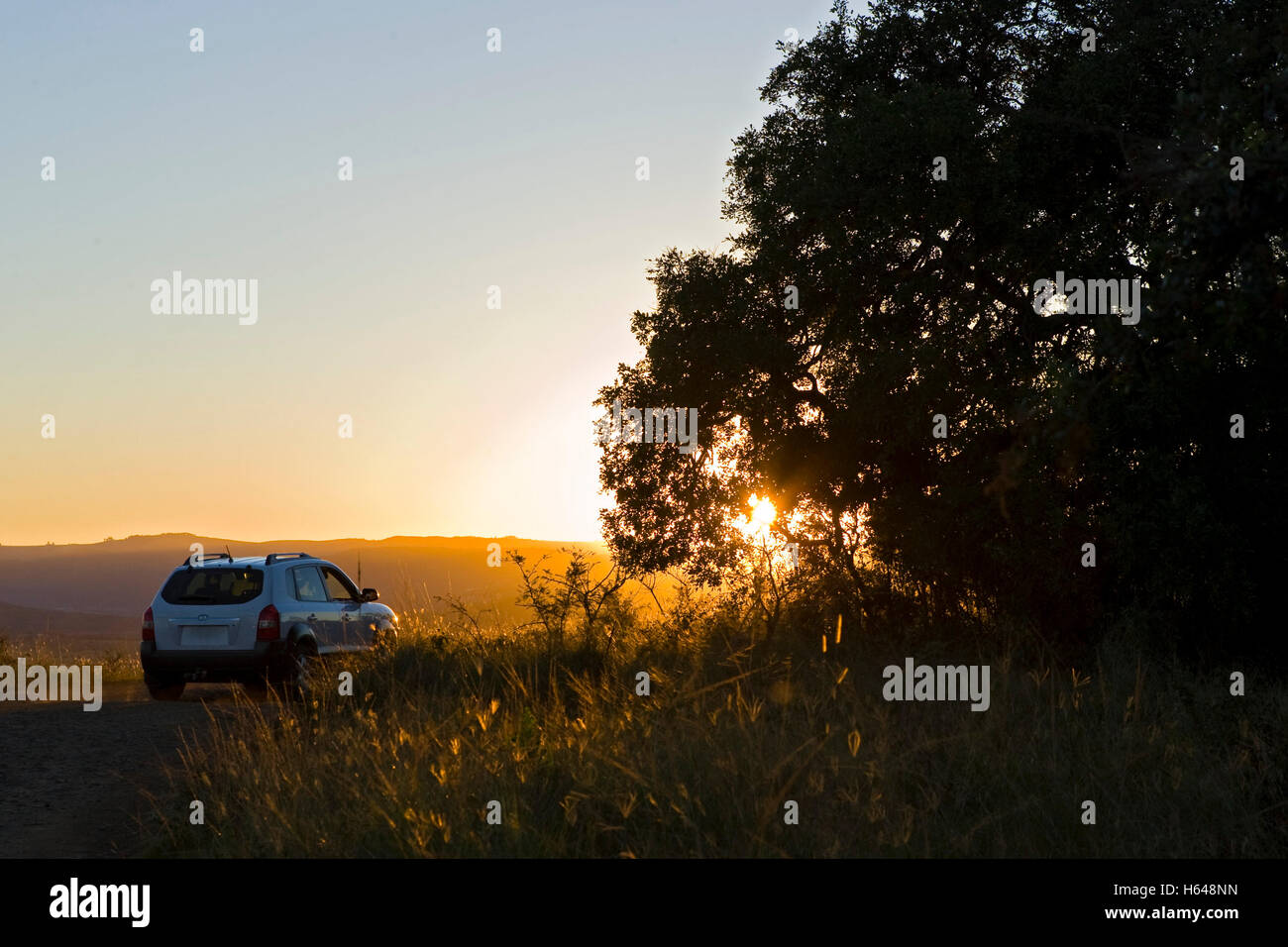 SUV conduce hacia la puesta del sol, el Parque Nacional de Hluhluwe-Imfolozi, Sudáfrica, África Foto de stock