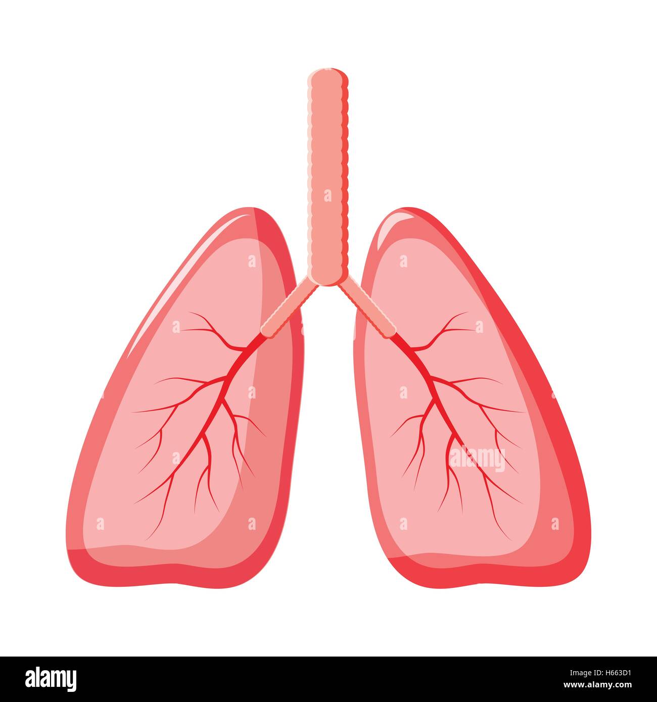 Los pulmones icono en el estilo de dibujos animados Imagen Vector de stock  - Alamy
