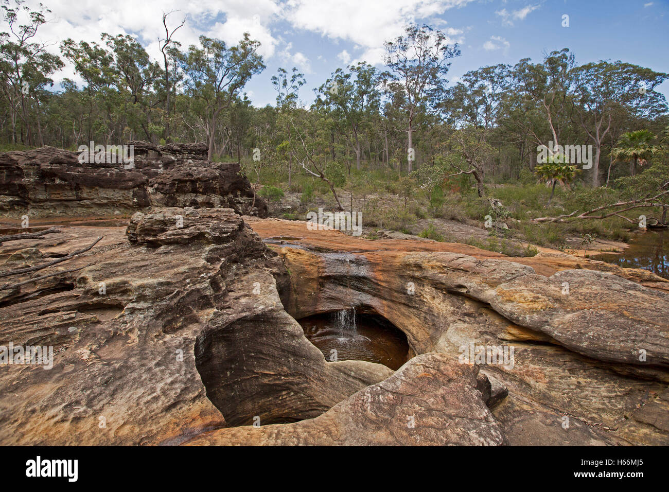 Profundos agujeros en las rocas de piedra arenisca erosionada por el agua del arroyo en la segmentación como cascada miniatura con el telón de fondo de los bosques Foto de stock