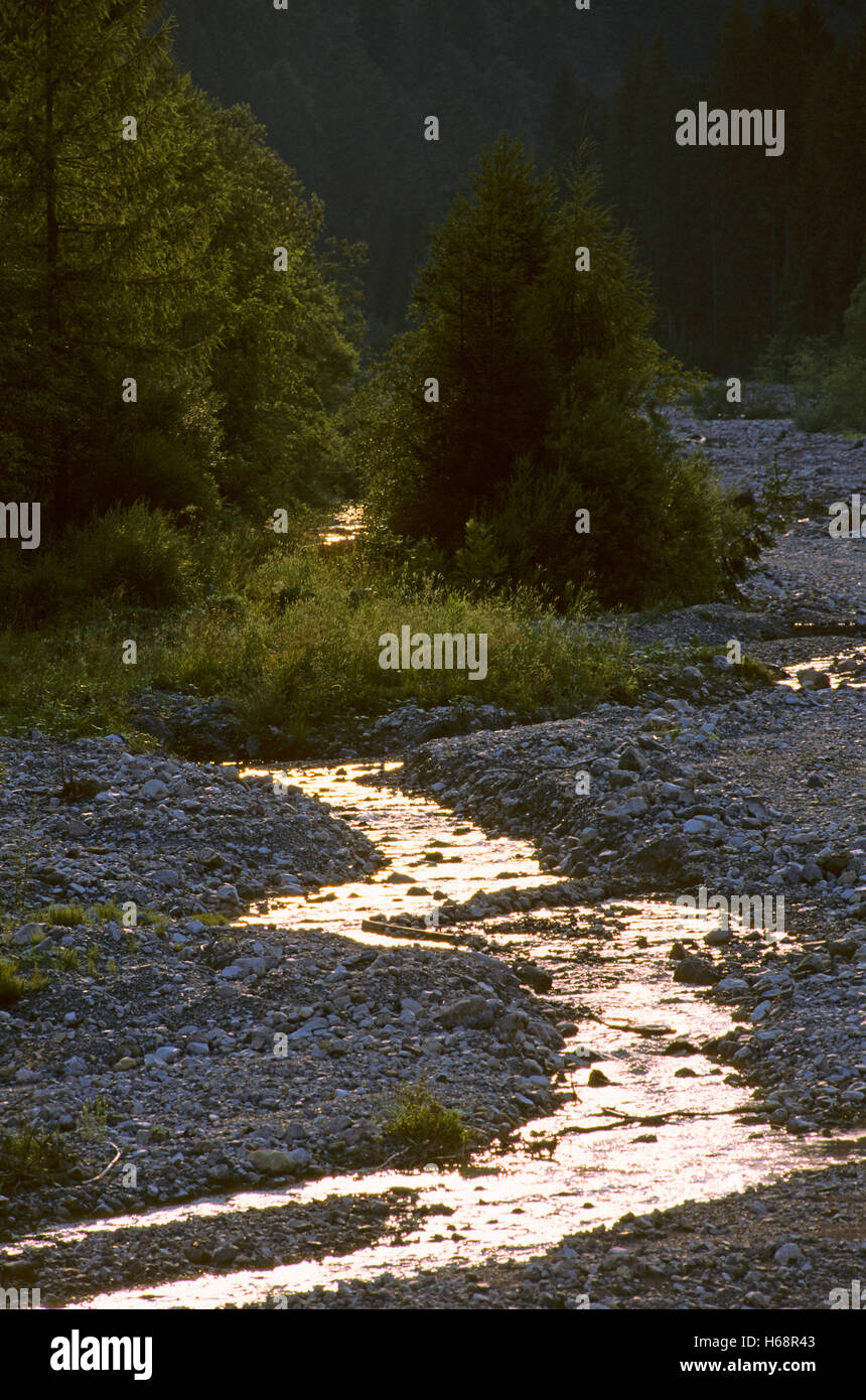 Río Tagliamento en la temporada seca, Forni di Sopra, Dolomiti Friulane Carnia, Parque Natural, Friuli-Venezia Giulia, Italia Foto de stock