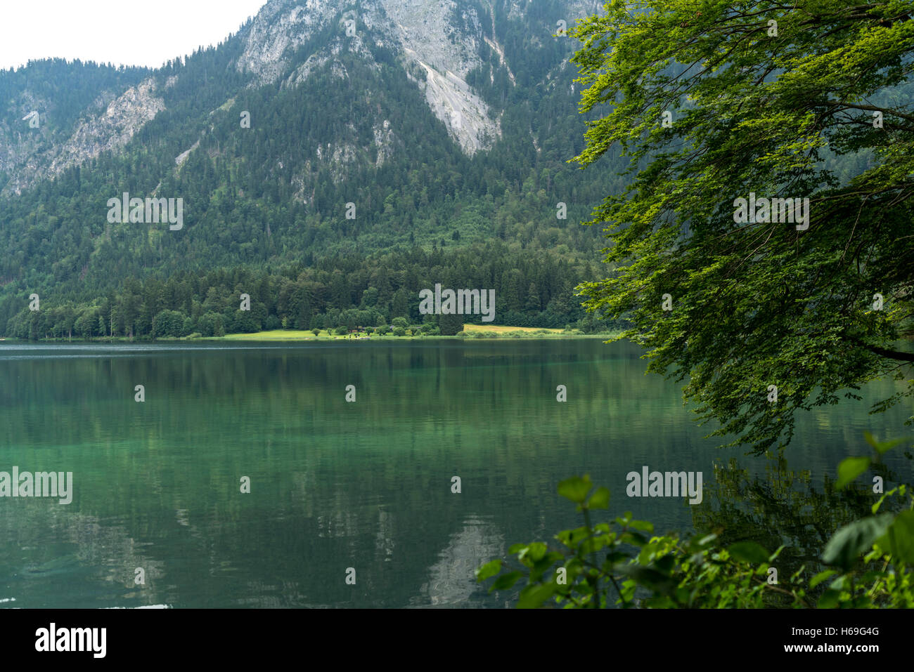 Der Alpsee bei Schwangau, Allgäu, Bayern, Deutschland | Lago Alpsee cerca de Schwangau, Allgäu, Baviera, Alemania Foto de stock
