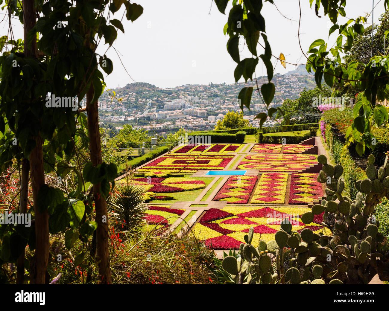 Una vista desde el jardín botánico de Madeira hacia Funchal en el fondo en la isla portuguesa de Madeira. Foto de stock