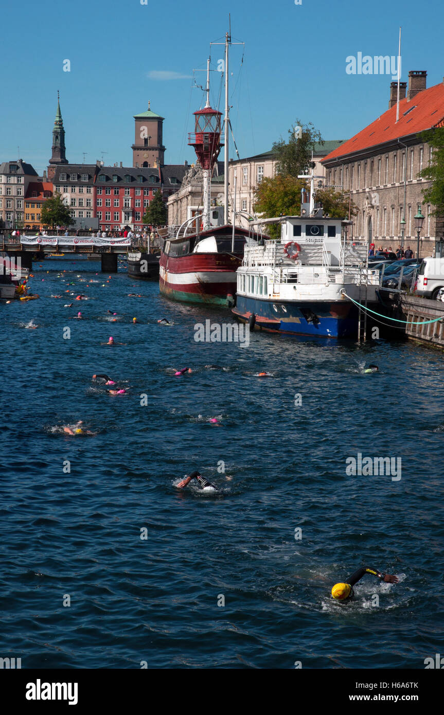 Los nadadores que participan en el christiansborg rundt nadar en aguas abiertas de 2016 en Copenhague, Dinamarca Foto de stock