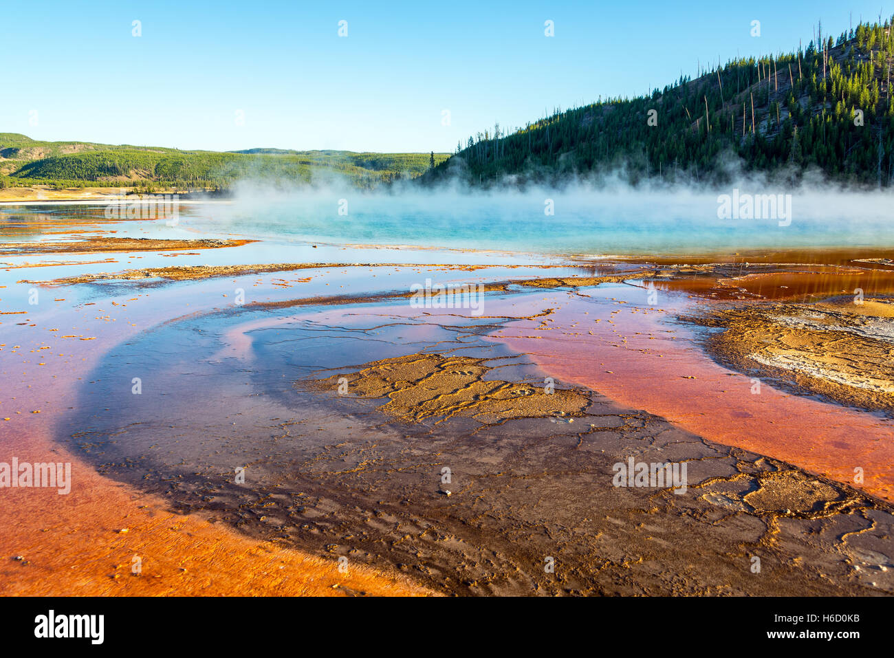 Vapor de Grand Prismatic Spring, en el Parque Nacional de Yellowstone. Foto de stock