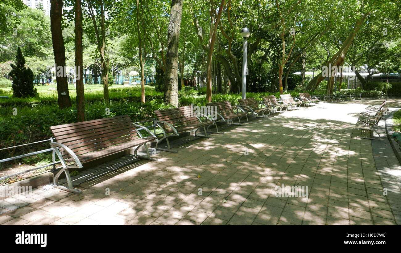 Bancos de madera marrón al aire libre en el parque público Foto de stock