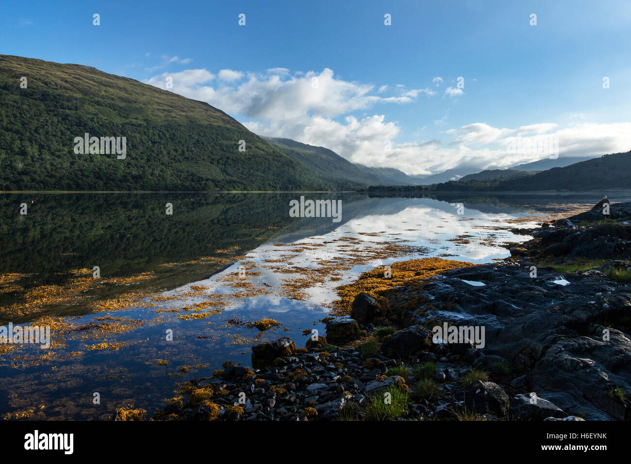 Loch Creran en Argyll, Escocia Foto de stock