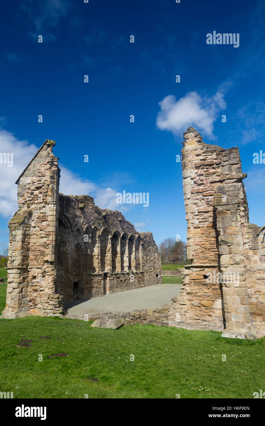 Abadía de Basingwerk Flintshire Greenfield al norte de Gales, Reino Unido Foto de stock