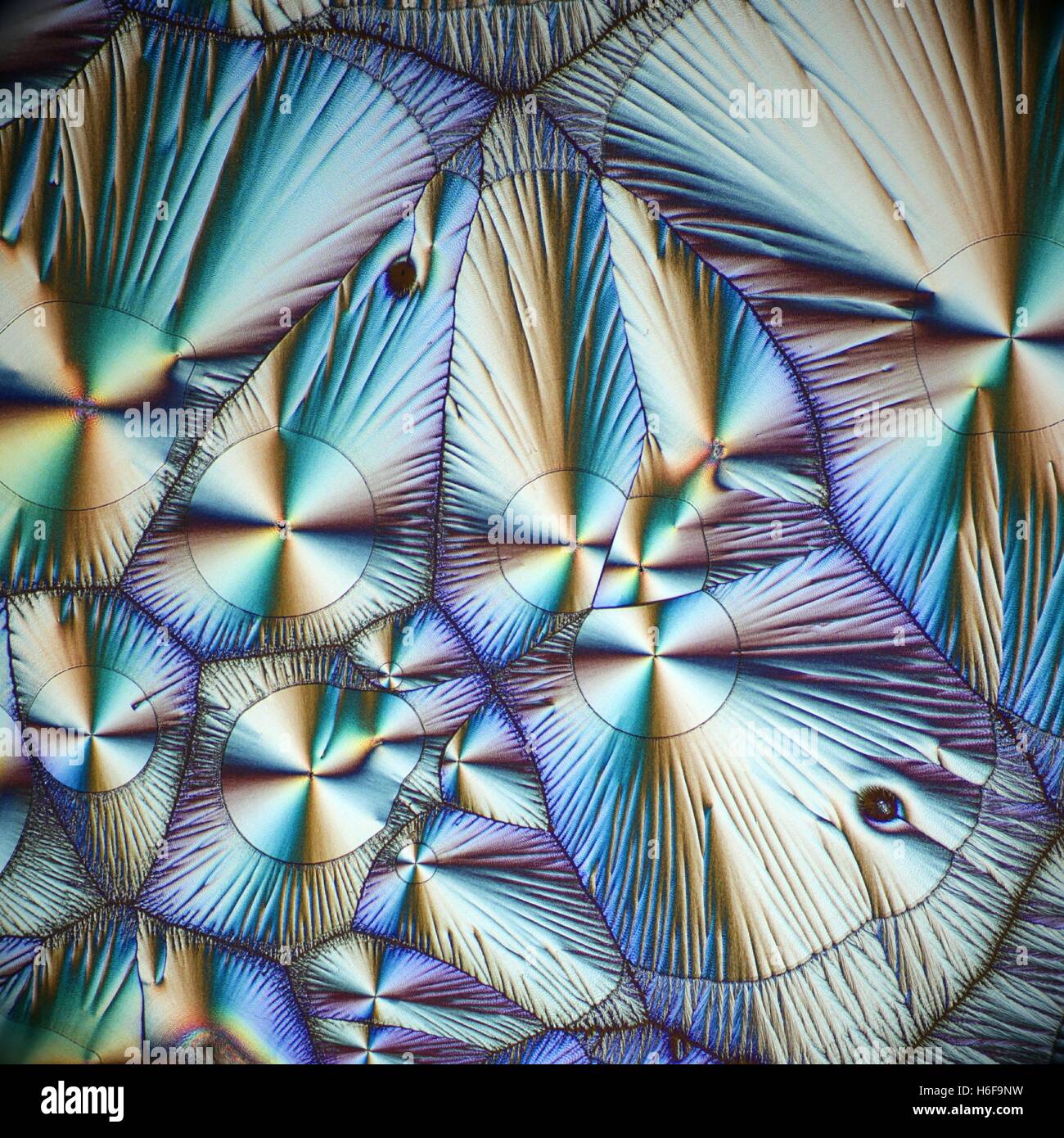 Cristales de Vitamina C, ácido ascórbico. Imagen de microscopio Fotografía  de stock - Alamy