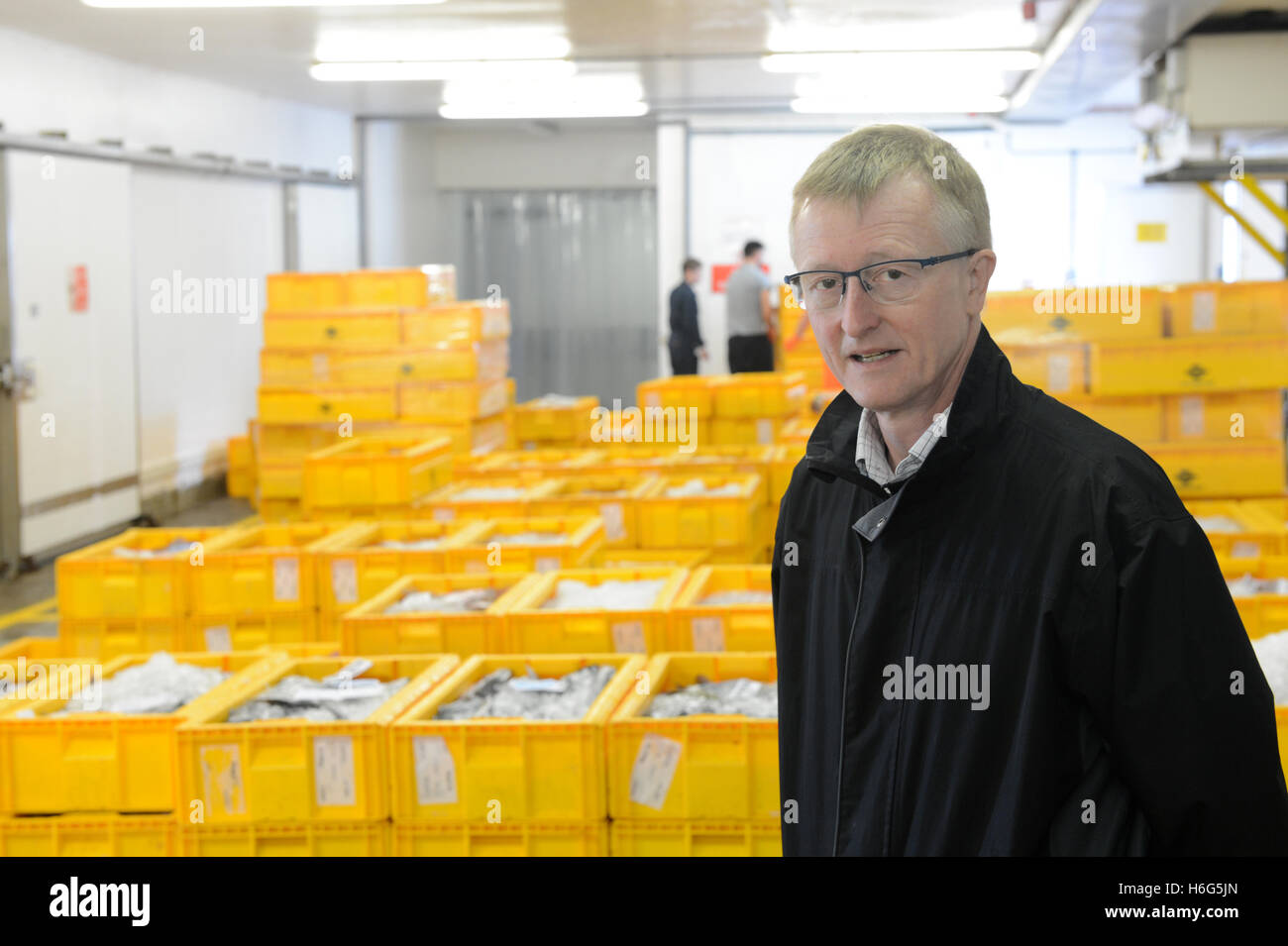 Martin Leyland subasta manager en Shetland Seafood subastas en mercado de pescado de Lerwick Shetland Foto de stock