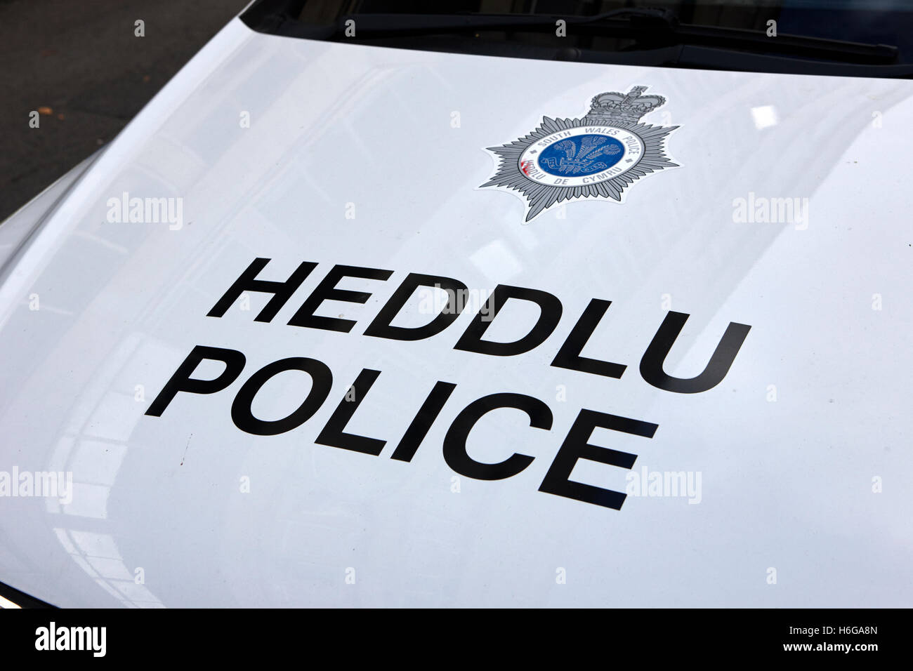 Gales del Sur policía bilingüe heddlu vehículo livery Cardiff Gales Reino Unido Foto de stock