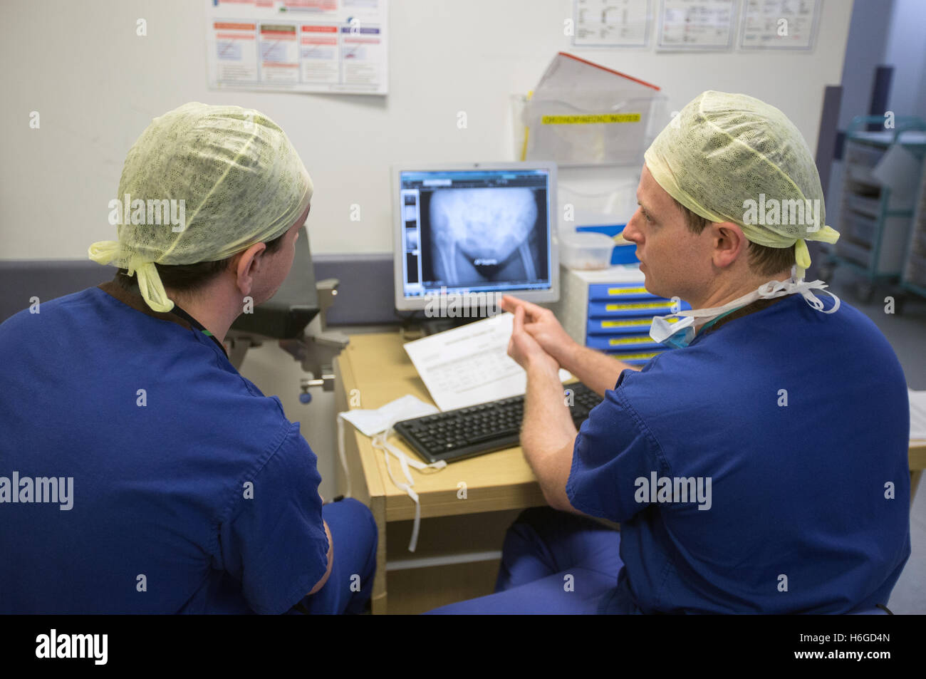 Dos médicos hablando de rayos X de un paciente en la pantalla mostrando una pierna rota.hablan de imágenes y notas en el teléfono móvil. Foto de stock