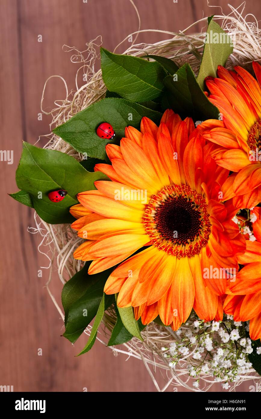 Foto vertical de bouquet. Bouquet de gerberas naranjas. Gerberas flores con  hojas verdes. Roja pequeña mariquita en hojas. Pequeña w Fotografía de  stock - Alamy