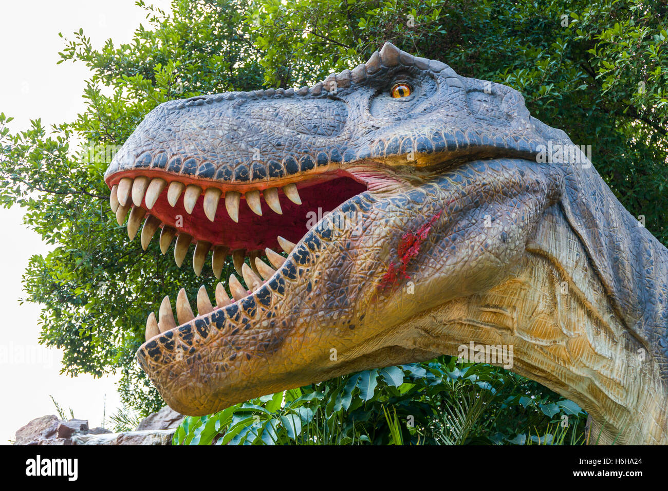 T rex dinosaurio fotografías e imágenes de alta resolución - Alamy