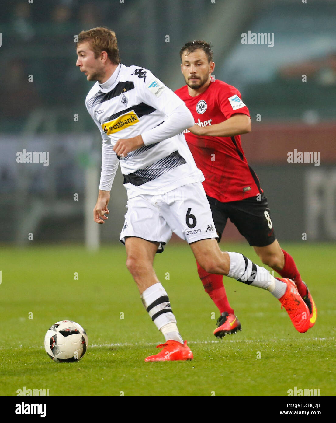 Leverkusen, Germany. 21st February, 2016. German Bundesliga season  2015/2016 matchday 22, Bayer 04 Leverkusen vs Borussia Dortmund (BVB) -----  Lukasz Piszczek (BVB) und Stefan Kie§ling (Kiessling) (Leverkusen) Credit:  kolvenbach/Alamy Live News Stock