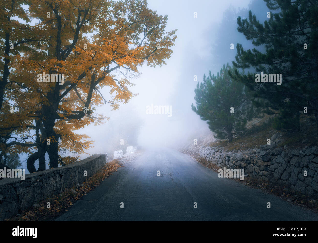 Otoño místico bosque neblinoso con la carretera. Caída misty woods en la niebla. El colorido paisaje con árboles, mountain road, naranja y amarillo Foto de stock
