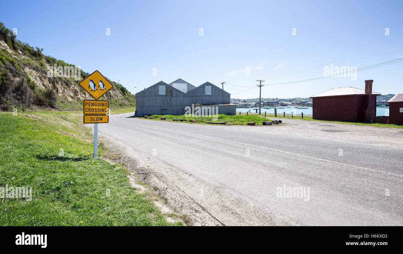 Un signo de advertencia de pingüinos en Oamaru, Nueva Zelanda Foto de stock
