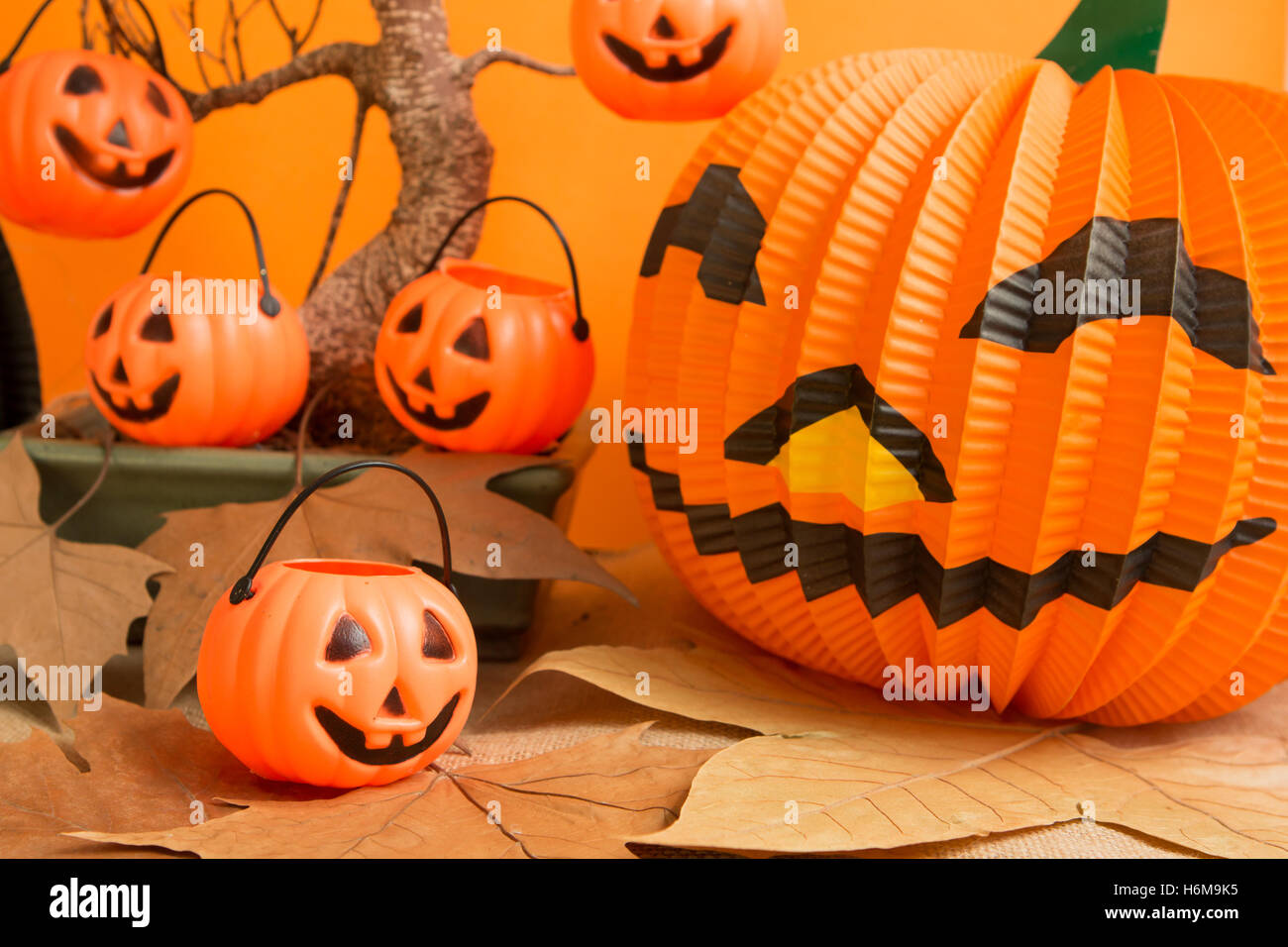 Decoración de Halloween. Calabazas colgadas de un árbol seco Fotografía de - Alamy