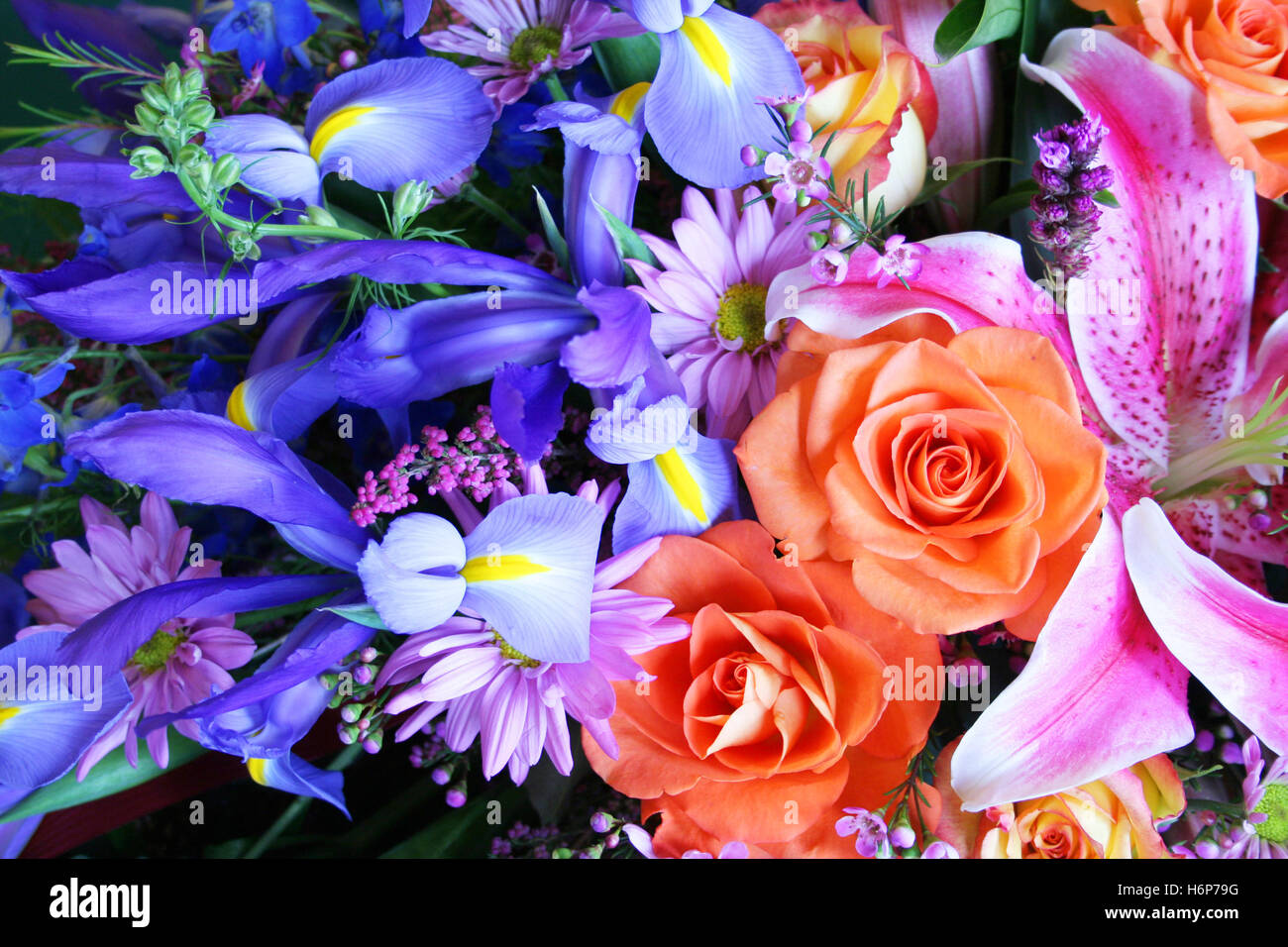 Arreglo de Niza beauteously azul hermoso verde de flores flores románticas  rosas girasoles planta asiática partido morado Fotografía de stock - Alamy