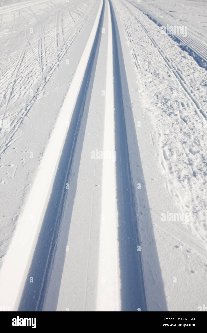 Pistas de esquí de fondo en invierno Foto de stock