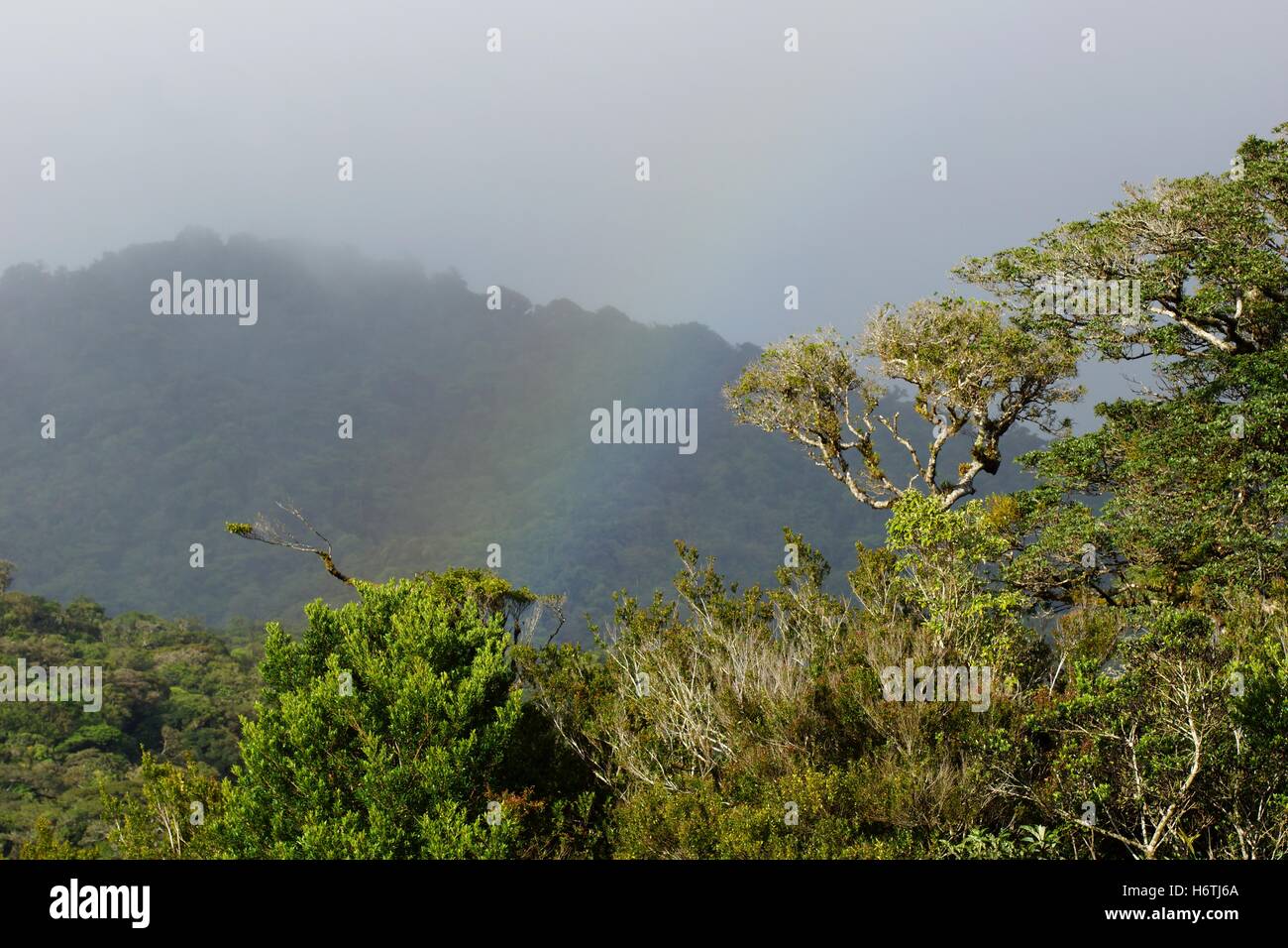 Arco iris en las montañas. Costa Rica, provincia de Puntarenas
