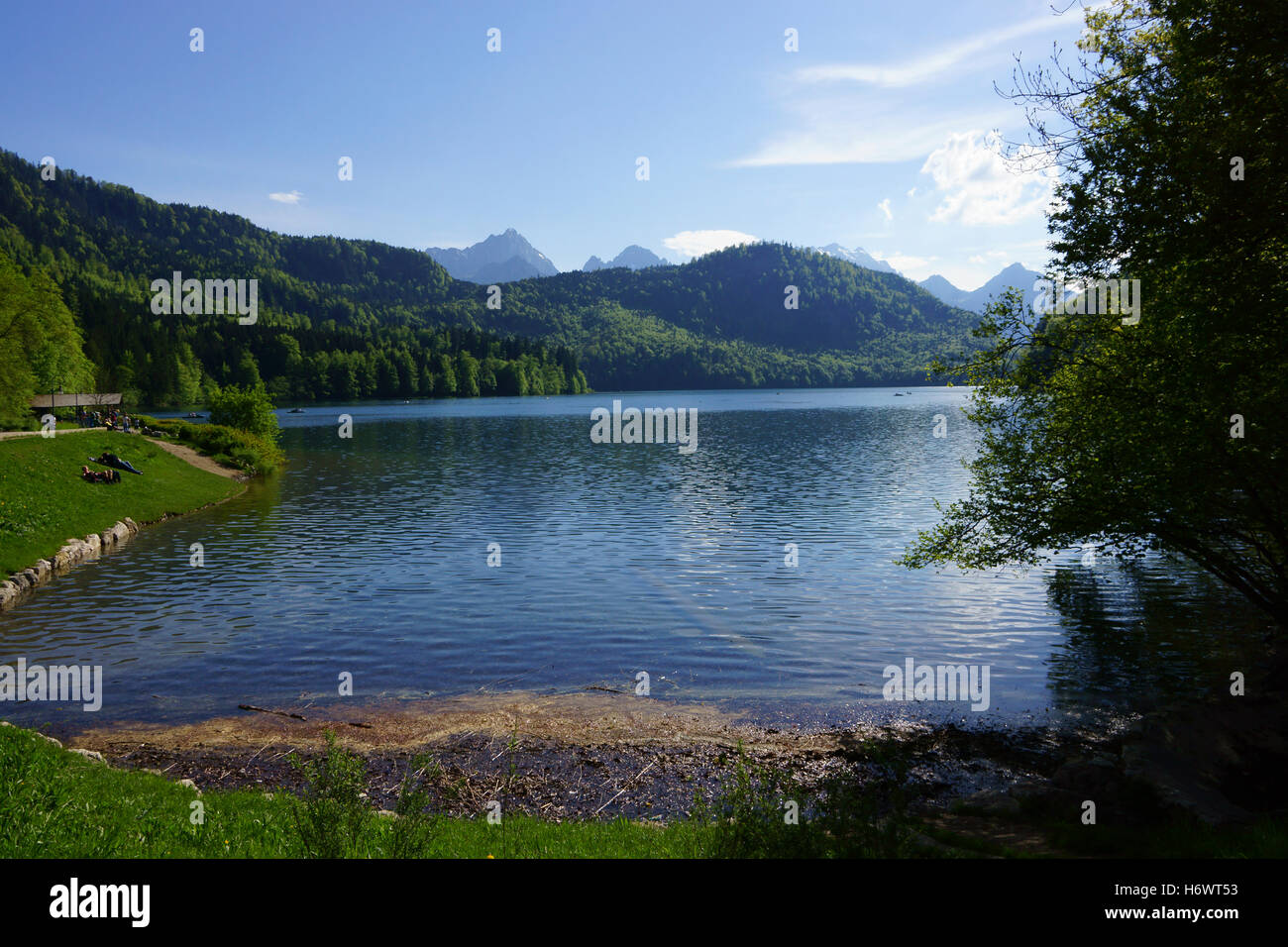 Lago Alpsee, Alp, en Neuschwanstein, Allgäu, Baviera, Alemania Foto de stock
