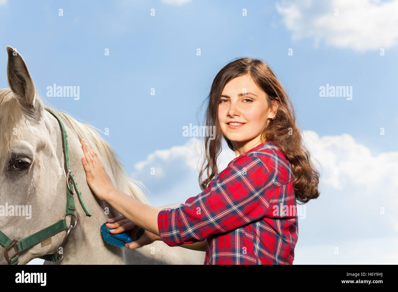 Retrato de mujer joven cepillarse un hermoso caballo Foto de stock