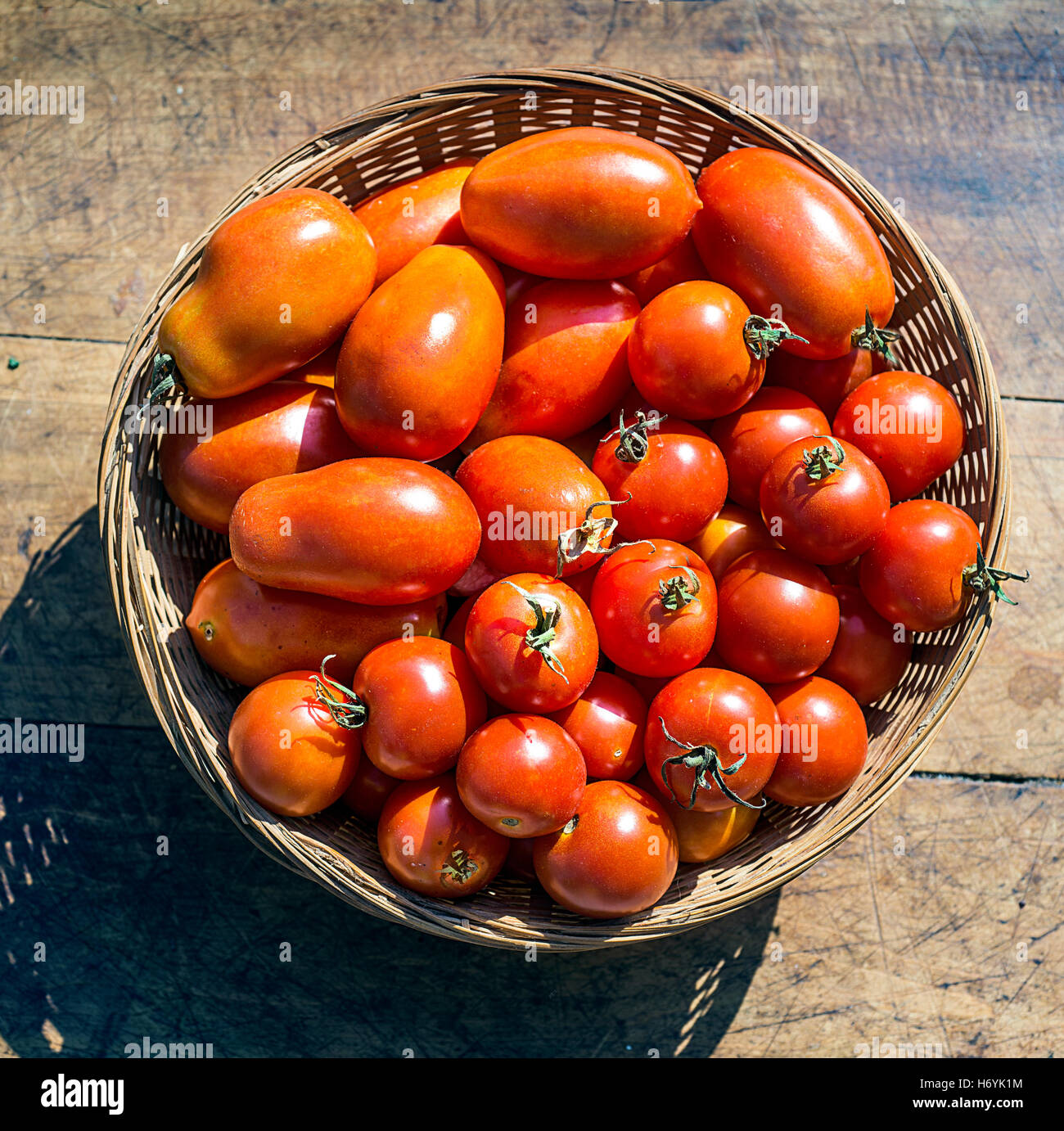 tomates Foto de stock
