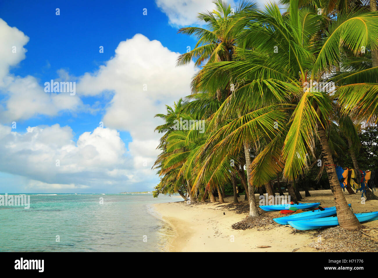Hermosa playa en Guadalupe, islas del Caribe Foto de stock