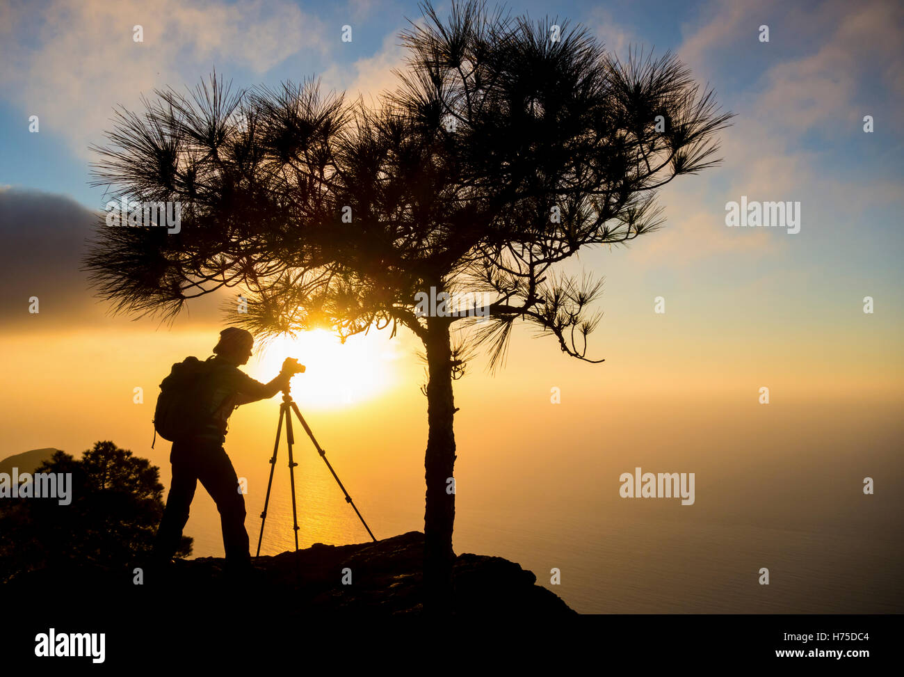 Excursionista femenina en la montaña con vistas del océano Atlántico en el Parque Natural de Tamadaba en Gran Canaria, Islas Canarias, España Foto de stock