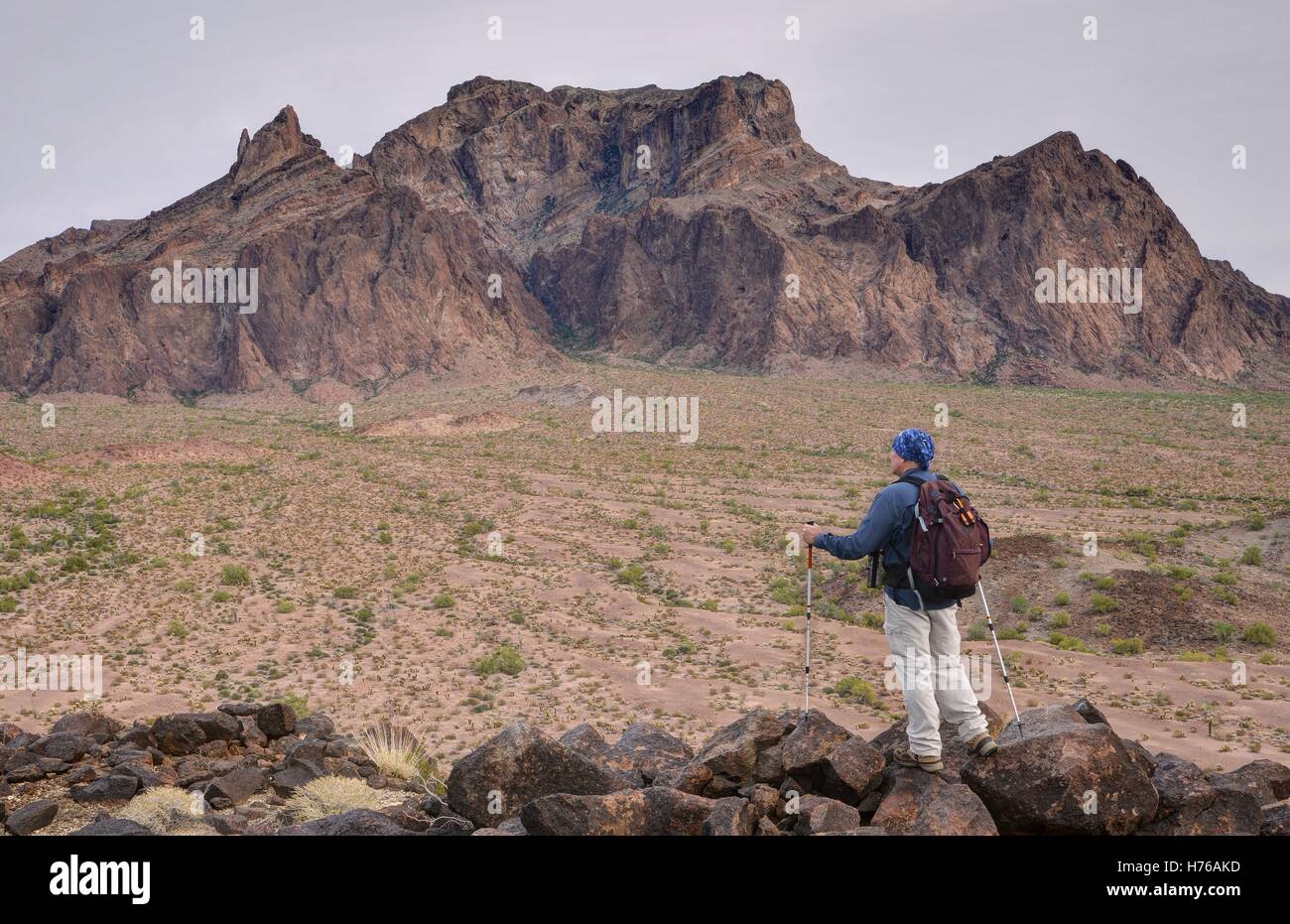 Excursionista de pie frente a Signal Peak y Palm Canyon, Kofa National Wildlife Refuge, Arizona, Estados Unidos Foto de stock