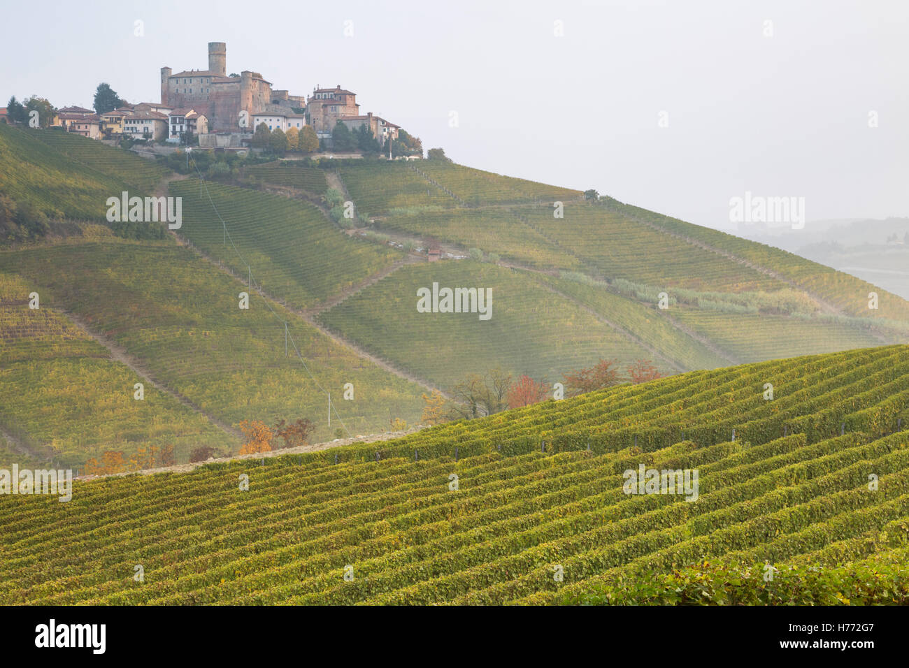 Vista de Castiglione Falletto desde los viñedos de la zona, Langhe, distrito de Cuneo, Piamonte, Italia. Foto de stock