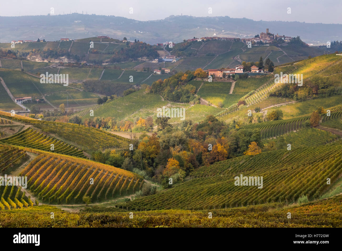 Las colinas que rodean Castiglione Falletto, Langhe, distrito de Cuneo, Piamonte, Italia. Foto de stock