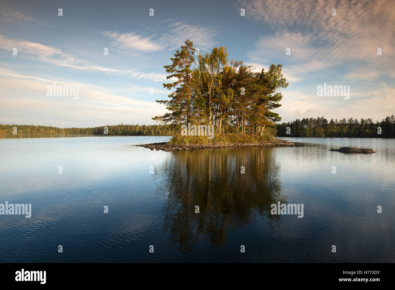 Paisaje otoñal lago Holmasjön cerca Ramkvilla, Smaland, Suecia Foto de stock