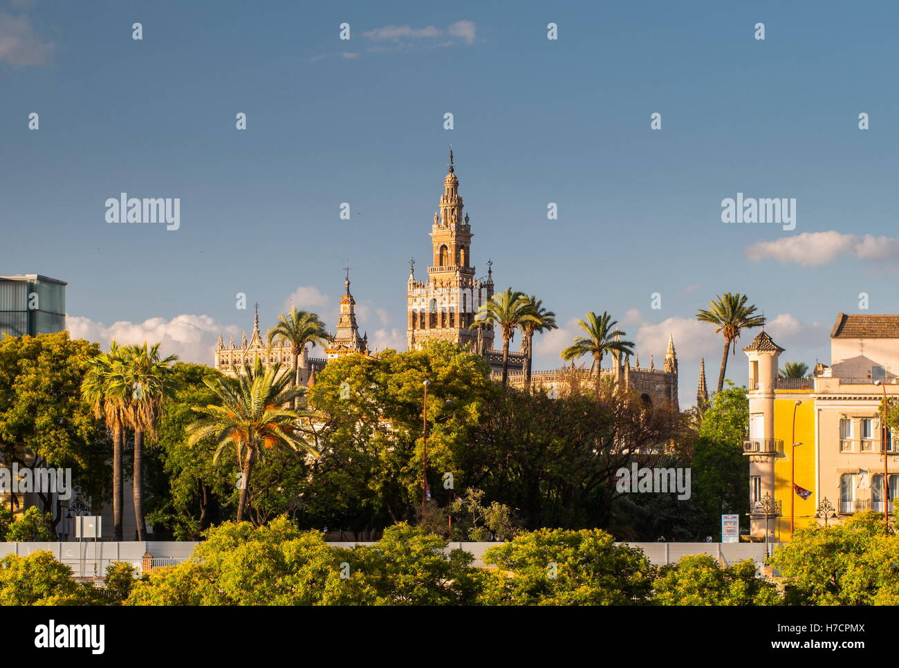 Torre de la Giralda Campanario de la Catedral de Sevilla. Foto de stock