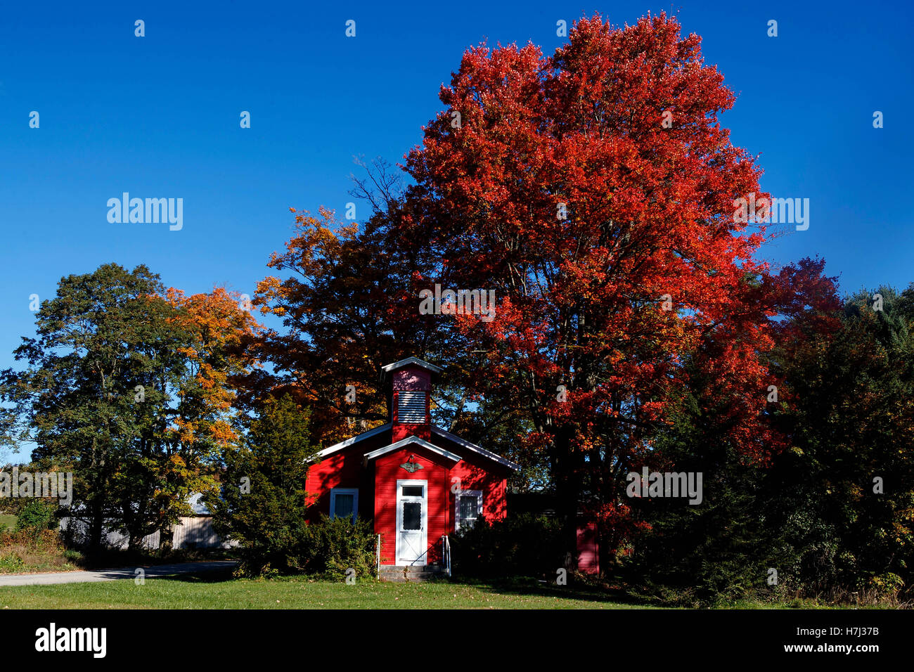 Casa Roja con rojo árbol, Nueva York, cerca de Burlington, Nueva York, Estados Unidos de América Foto de stock