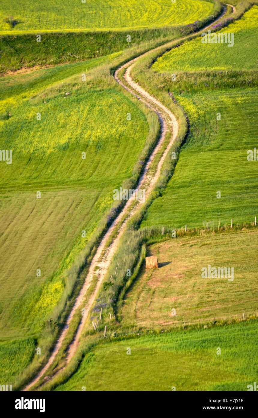 Camino de tierra en un campo Foto de stock