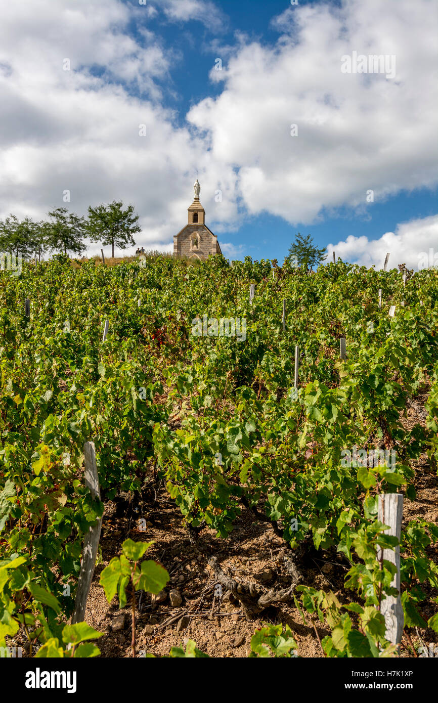 La capilla de la Madone en Villa Fleurie, viñedo de Beaujolais, el departamento del Ródano, región Auvergne-Rhône-Alpes, Francia, Europa Foto de stock