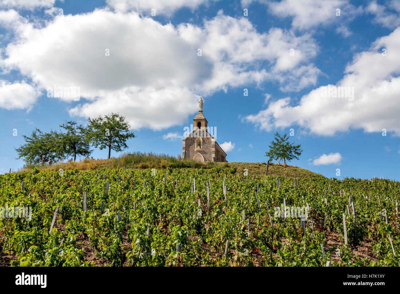 La capilla de la Madone en Villa Fleurie, viñedo de Beaujolais, el departamento del Ródano, región Auvergne-Rhône-Alpes, Francia, Europa Foto de stock