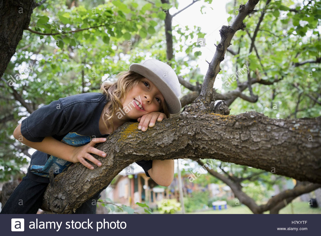 Niño acostado en la rama de árbol de escalada Foto de stock
