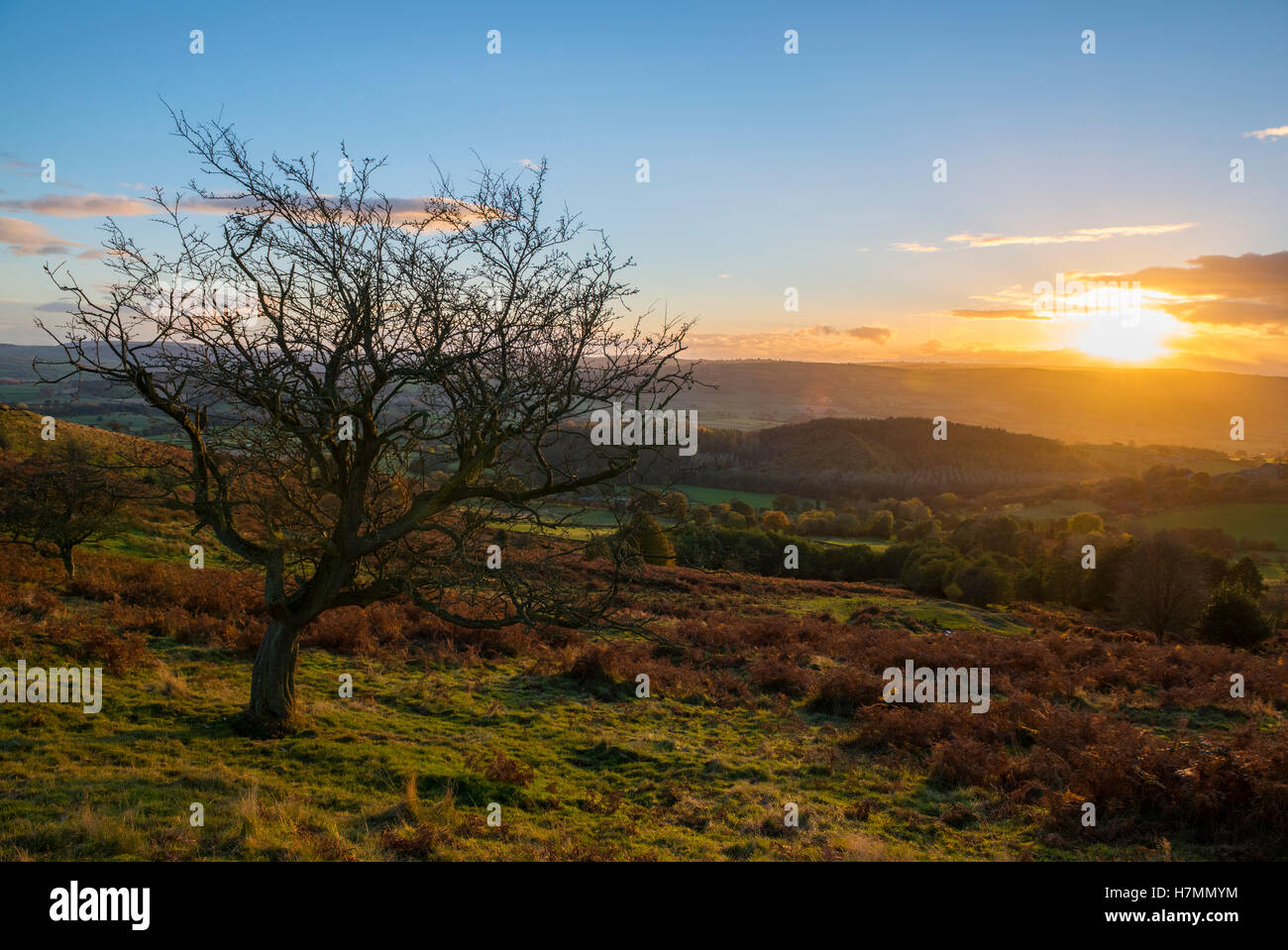 Atardecer en Powys, Gales, visto desde Heath Mynd en Shropshire, Inglaterra, Reino Unido. Foto de stock