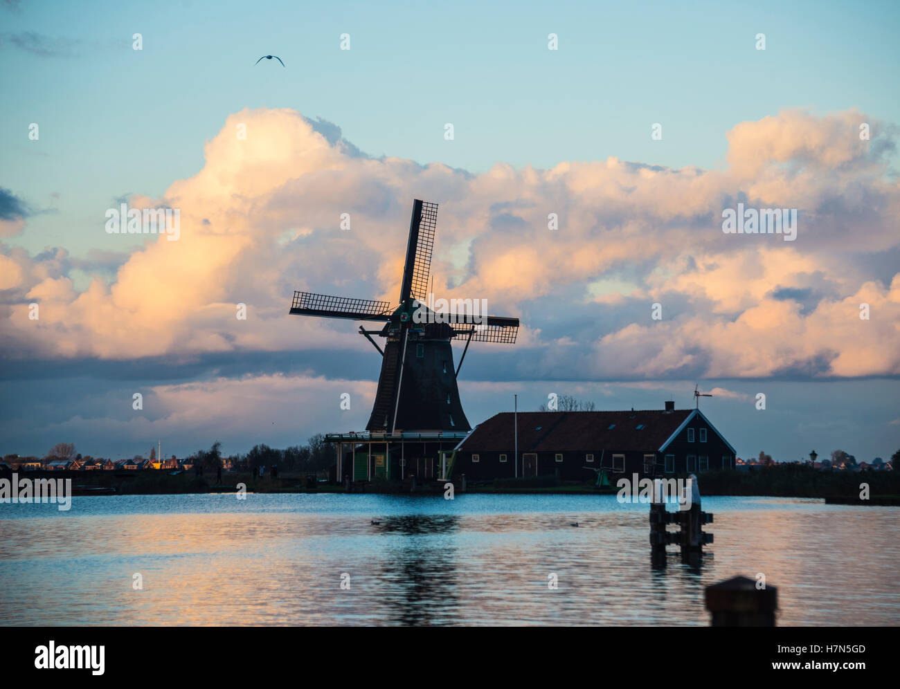 Molinos holandeses en el dique Zaandam clásica escena holandesa Foto de stock